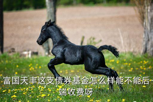 富國天豐基金怎么樣，富國天豐這支債券基金怎么樣能不能后端收費呀