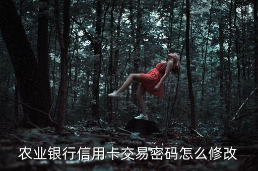 農(nóng)業(yè)銀行的交易密碼怎么修改，農(nóng)行支付密碼怎么修改