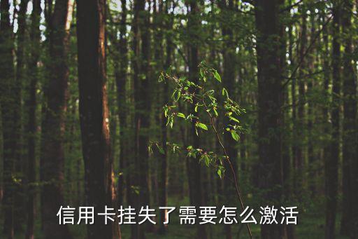 掛失的信用卡怎么激活嗎，如何激活已經(jīng)去世的人的掛失的信用卡