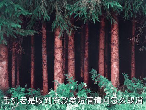 貸款騷擾電話怎么取消，手機(jī)老是收到貸款類短信請問怎么取消