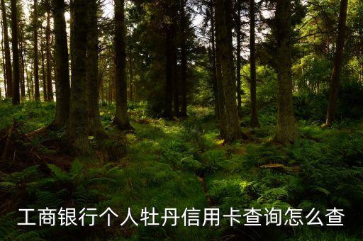 工商銀行個人牡丹信用卡查詢怎么查
