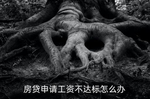 房貸申請工資不達標怎么辦