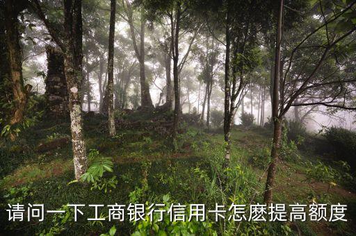 工行金卡怎么提高額度，請問一下工商銀行信用卡怎麼提高額度