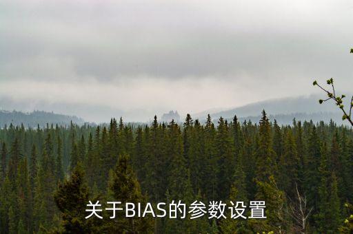 關(guān)于BIAS的參數(shù)設(shè)置