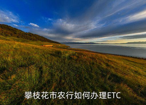 攀枝花市農(nóng)行如何辦理ETC