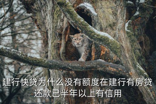 我的建行快貸怎么突然沒有額度了，建行快貸為什么沒有額度在建行有房貸還款已半年以上有信用