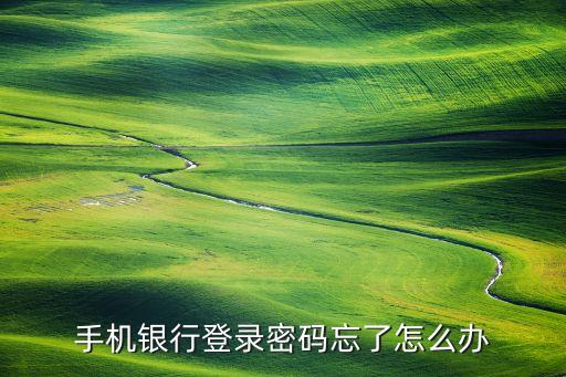 手機銀行登錄密碼忘了怎么辦