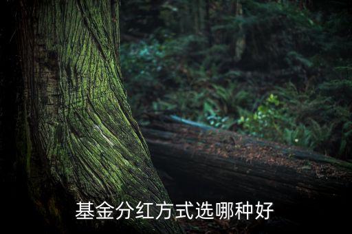 基金怎么分紅方式，基金一般是怎樣分紅的