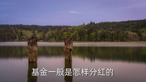 基金一般是怎樣分紅的