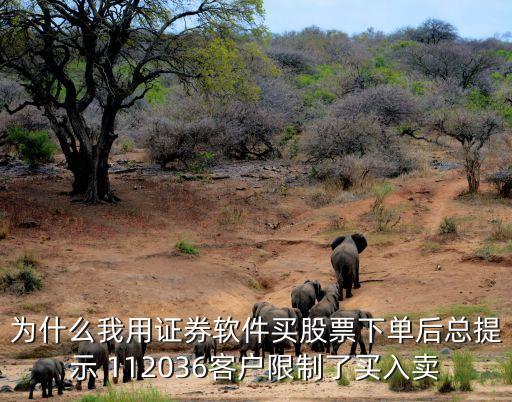 為什么我用證券軟件買股票下單后總提示 112036客戶限制了買入賣