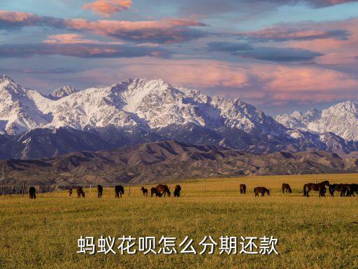 花唄賬單分期怎么分期還款怎么回事，螞蟻花唄怎么分期還款