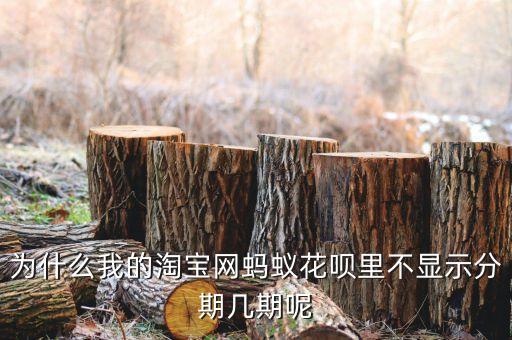 淘寶怎么沒有螞蟻分期，手機(jī)支付淘寶怎么找不到螞蟻花唄分期還款的地方 每月幾號可以申請