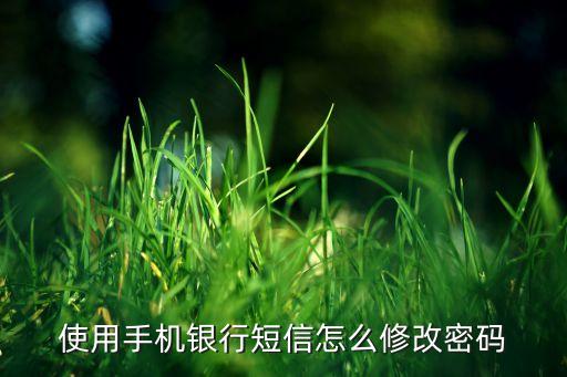 使用手機(jī)銀行短信怎么修改密碼
