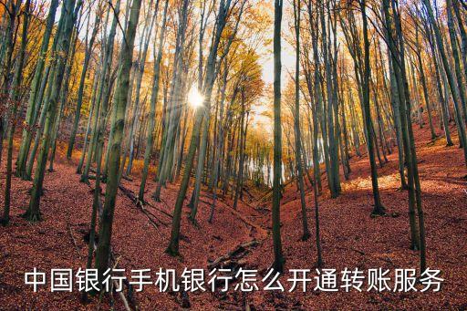 手機(jī)銀行怎么開通轉(zhuǎn)賬，如何開通手機(jī)銀行轉(zhuǎn)賬功能