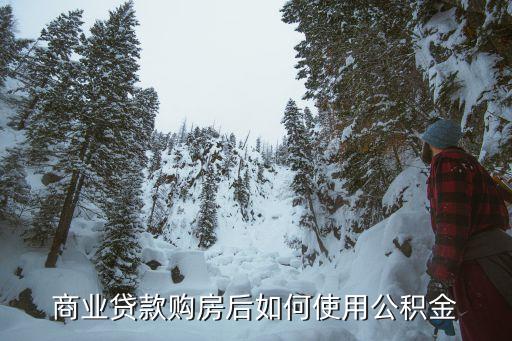 商業(yè)貸款怎么用公積金，商業(yè)貸款買房后住房公積金怎么使用