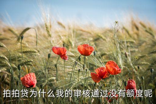 我的拍拍貸怎么沒額度是多少，拍拍貸不給額度什么原因