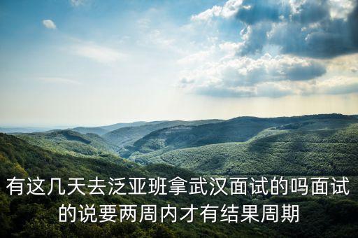 有這幾天去泛亞班拿武漢面試的嗎面試的說要兩周內才有結果周期