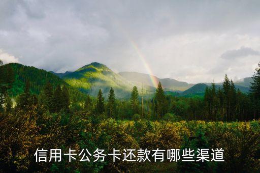 農(nóng)行公務(wù)卡怎么還款，農(nóng)業(yè)銀行公務(wù)卡還款方法有哪些