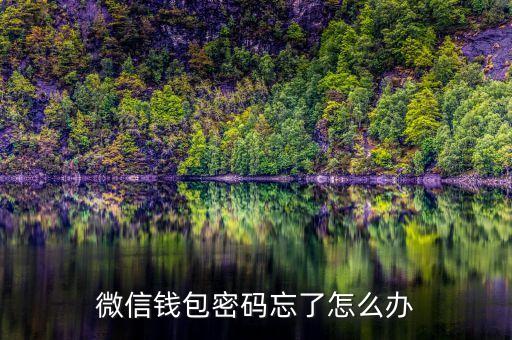 怎樣知道微信錢(qián)包密碼忘了怎么辦，微信支付密碼忘了怎么辦