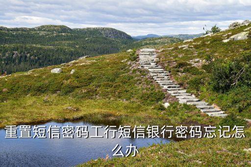 重置短信密碼工行短信銀行密碼忘記怎么辦