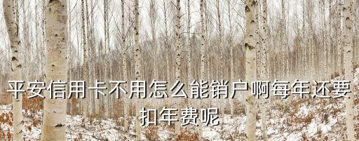 平安注銷信用卡怎么辦理流程，深圳平安銀行信用卡怎么注銷