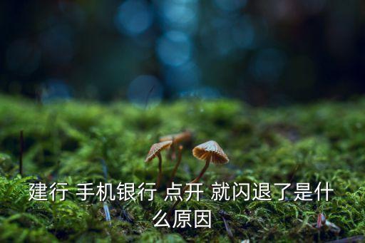 建行 手機銀行 點開 就閃退了是什么原因