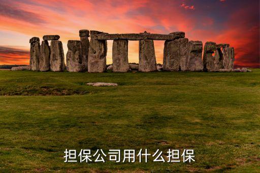 擔(dān)保有限公司是怎么擔(dān)保，擔(dān)保公司都擔(dān)保什么業(yè)務(wù)