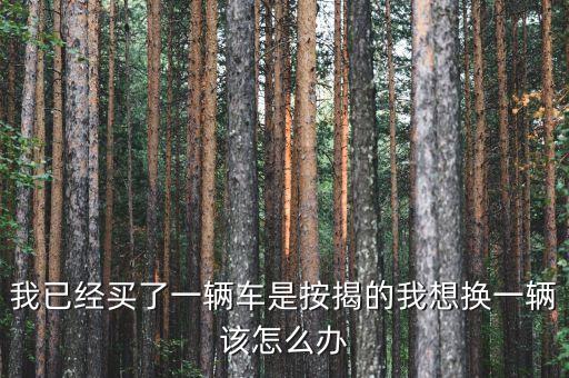 我已經(jīng)買了一輛車是按揭的我想換一輛該怎么辦