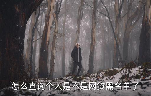 怎么查自己是不是網(wǎng)貸黑戶，怎么查我是不是網(wǎng)貸黑名
