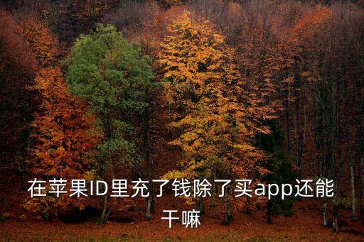 在蘋果ID里充了錢除了買app還能干嘛