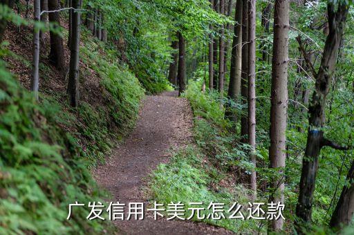 信用卡的美元怎么還款方式，廣發(fā)信用卡美元怎么還款