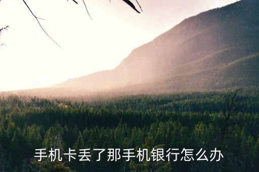 手機卡丟了手機銀行卡怎么辦理，手機卡丟了那手機銀行怎么辦