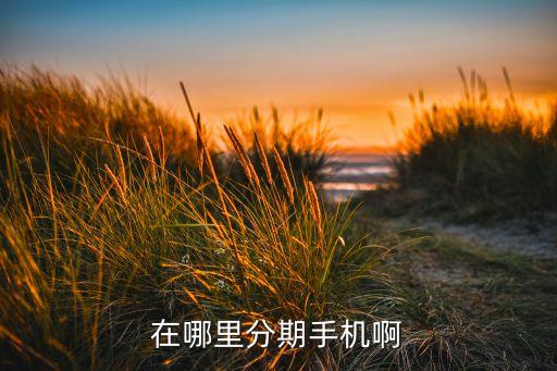 手機購買怎么分期付款，在哪里分期手機啊