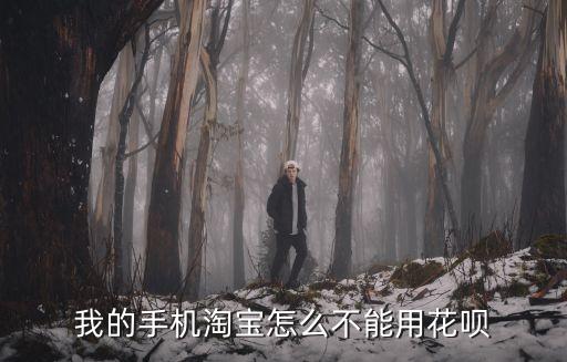 手機淘寶怎么沒有花唄付款方式，我的手機淘寶怎么不能用花唄