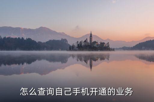 手機(jī)怎么看開通的業(yè)務(wù)，么樣查手機(jī)已開通的業(yè)務(wù)