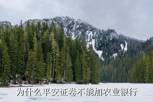 平安證券APP怎么添加不了銀行卡，為什么平安證卷不能加農(nóng)業(yè)銀行