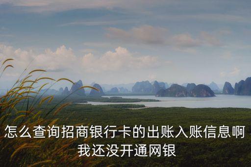 招商銀行查詢轉(zhuǎn)賬記錄怎么查詢，怎么查詢招商銀行卡的出賬入賬信息啊 我還沒開通網(wǎng)銀