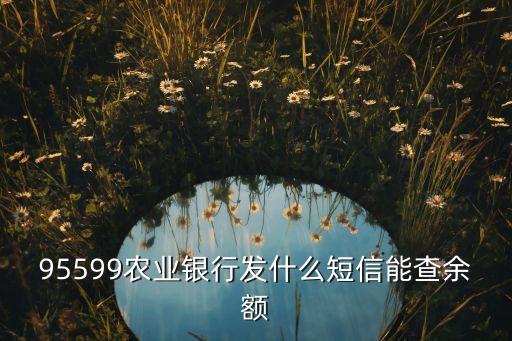 95599農(nóng)業(yè)銀行發(fā)什么短信能查余額