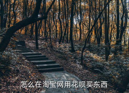 淘寶怎么用花唄買東西嗎，怎么在淘寶網(wǎng)用花唄買東西
