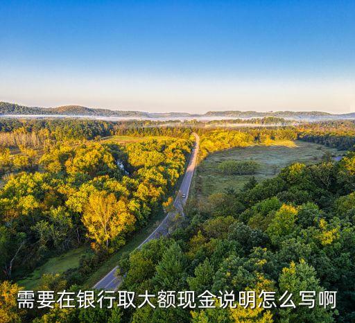 需要在銀行取大額現(xiàn)金說明怎么寫啊