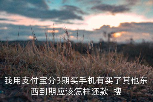 我用支付寶分3期買手機有買了其他東西到期應(yīng)該怎樣還款  搜