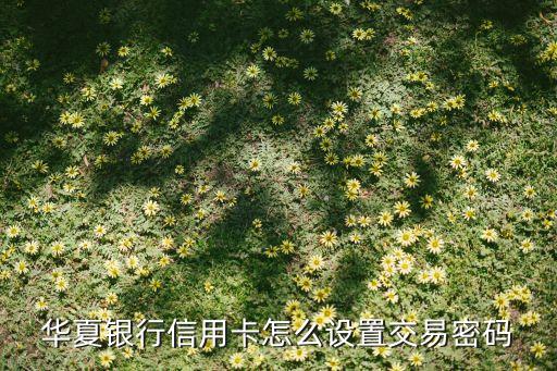 華夏銀行信用卡怎么設(shè)置交易密碼