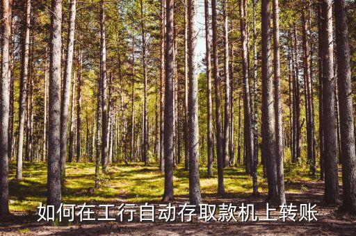 如何在工行自動(dòng)存取款機(jī)上轉(zhuǎn)賬
