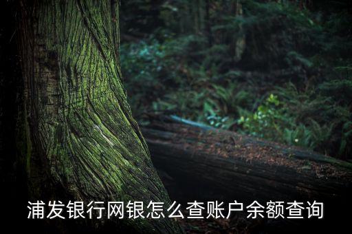 浦發(fā)銀行網(wǎng)銀怎么查賬戶余額查詢