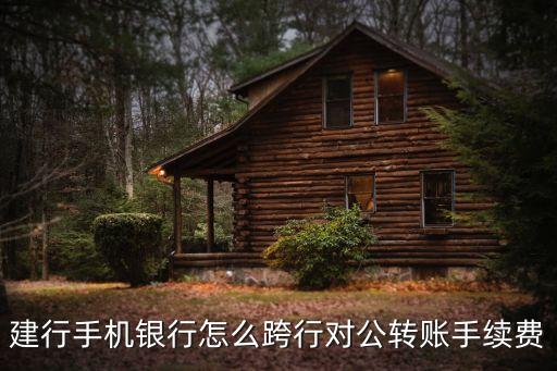 建設(shè)手機(jī)銀行怎么對(duì)公轉(zhuǎn)賬手續(xù)費(fèi)，建行手機(jī)銀行怎樣企業(yè)轉(zhuǎn)賬