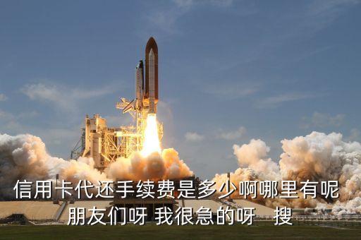 信用卡墊資還款怎么收費，信用卡代還手續(xù)費是多少啊哪里有呢 朋友們呀 我很急的呀   搜