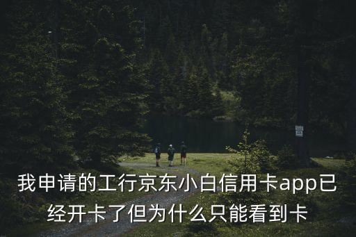 我申請的工行京東小白信用卡app已經(jīng)開卡了但為什么只能看到卡
