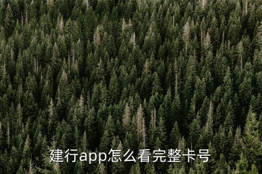 建行手機銀行怎么看自己的卡號，建設銀行手機銀行怎么看卡號