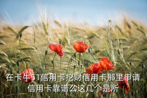 卡牛白條怎么申請，有什么提供信用卡賬單就能貸款的軟件