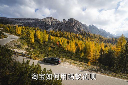 淘寶買東西怎么使用花唄，淘寶怎么支持花唄付款方式